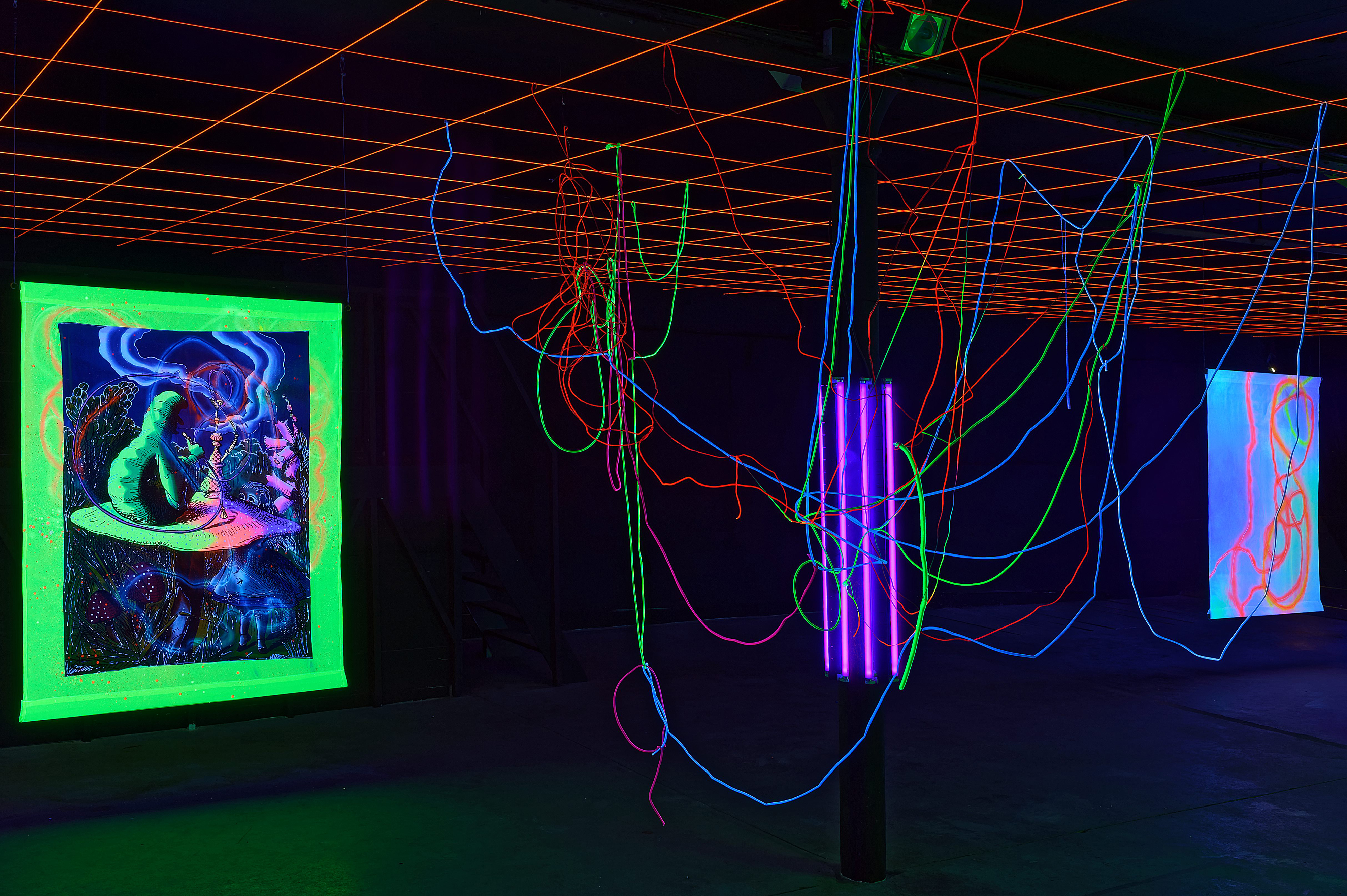 Briller & Disparaître