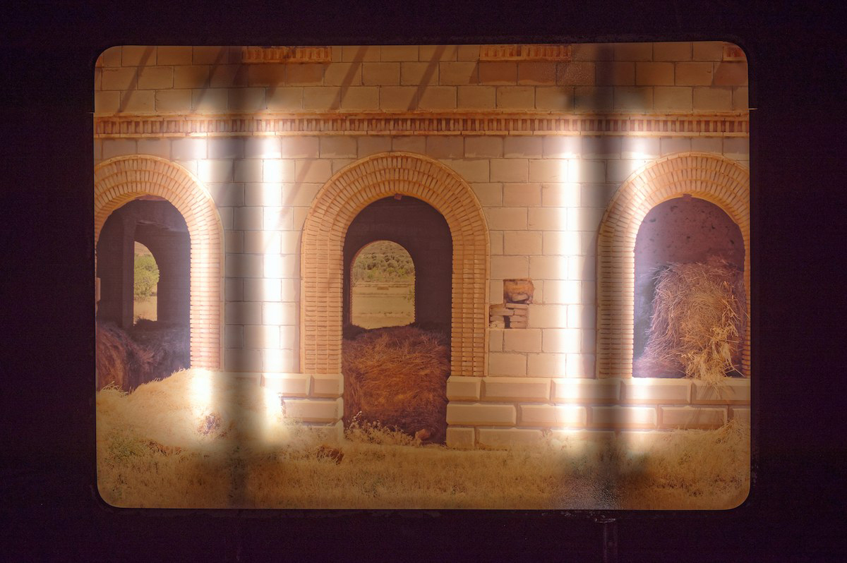 Les requins nagent à reculons