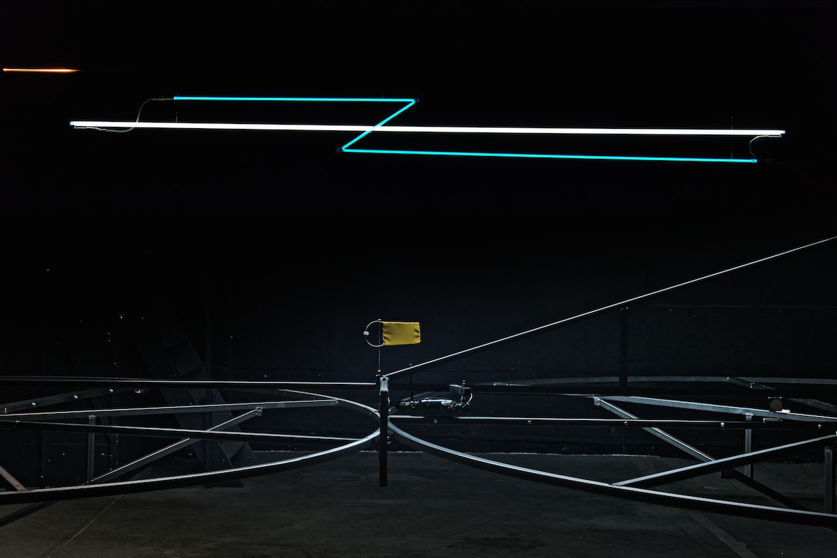 Les requins nagent à reculons