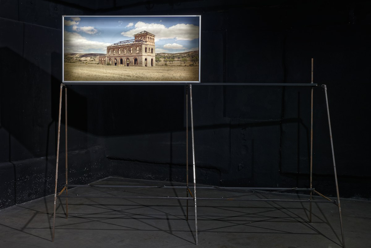 Les requins nagent à reculons